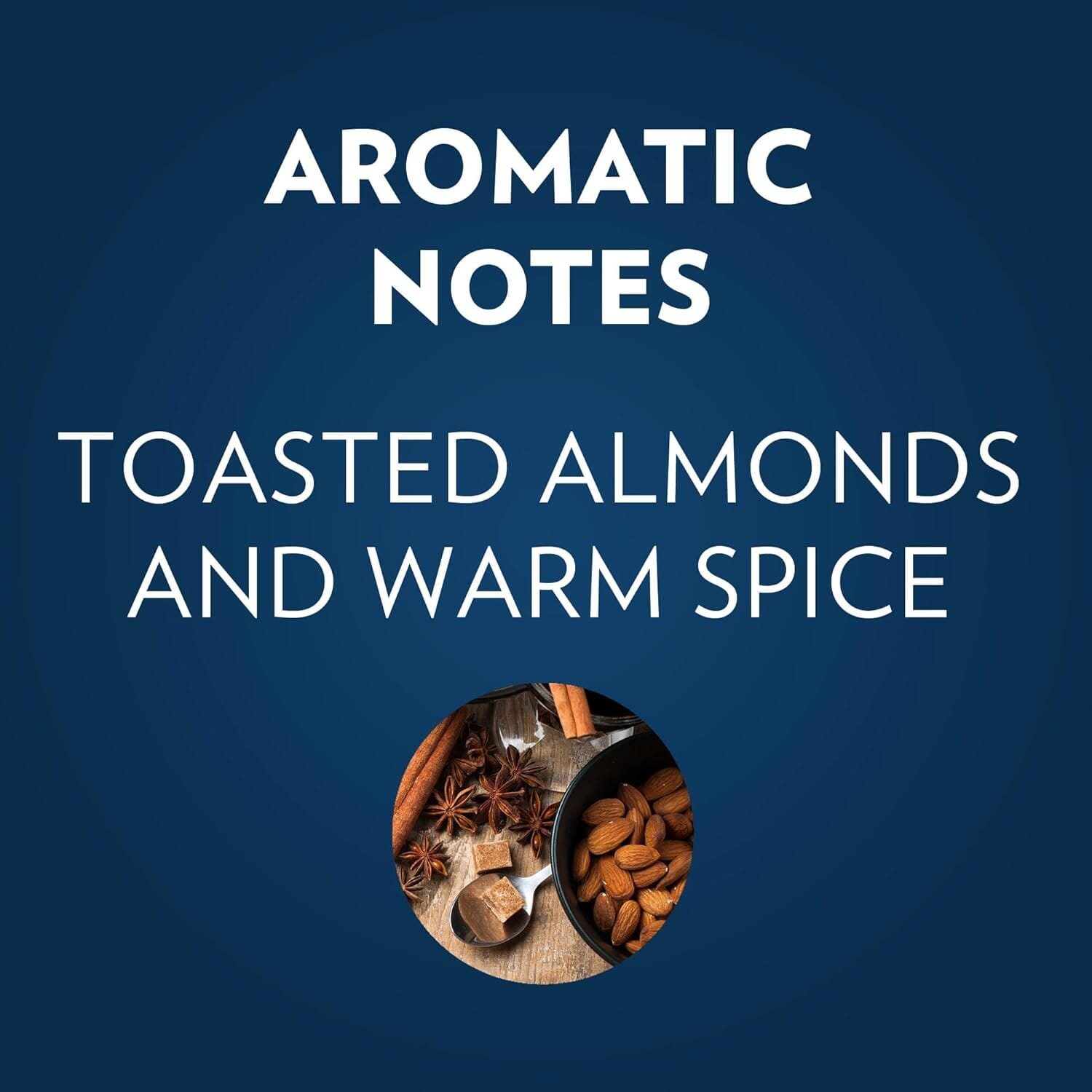 Lavazza Holiday Blend Medium Roast Ground Coffee, 10.5 oz Coffee Lavazza