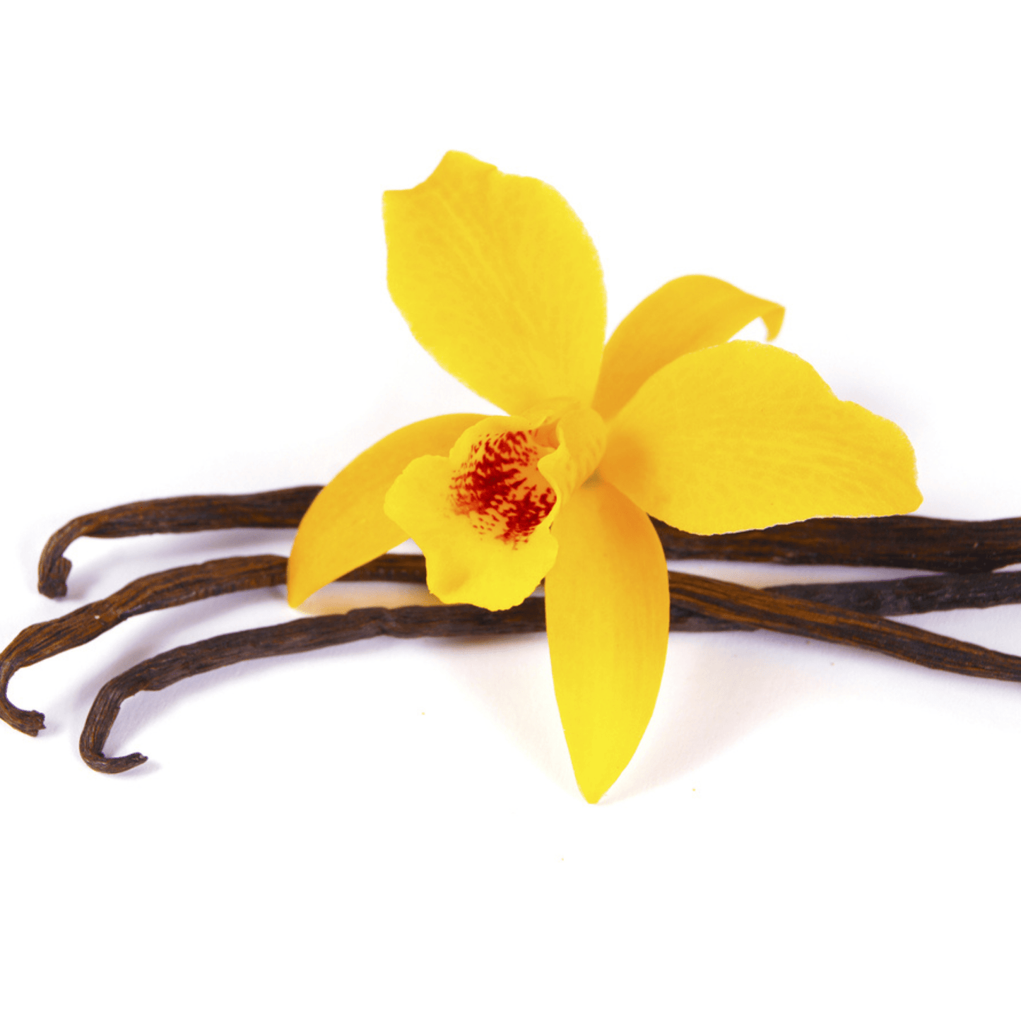 Sanniti Bourbon Vanilla Paste, 4 oz Pantry Sanniti