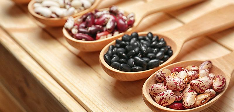 Borlotti beans, black beans, white beans, red beans and kidney beans