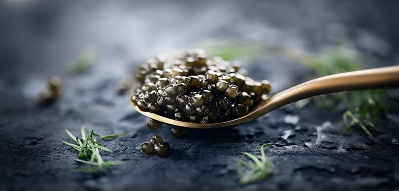 Black Caviar Fish Roe on Spoon