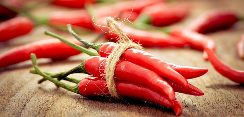 Red chili peppers