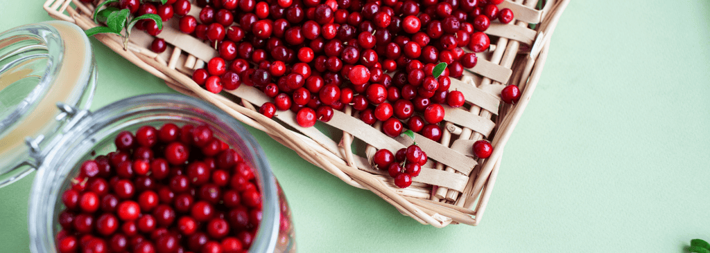 Lingonberry
