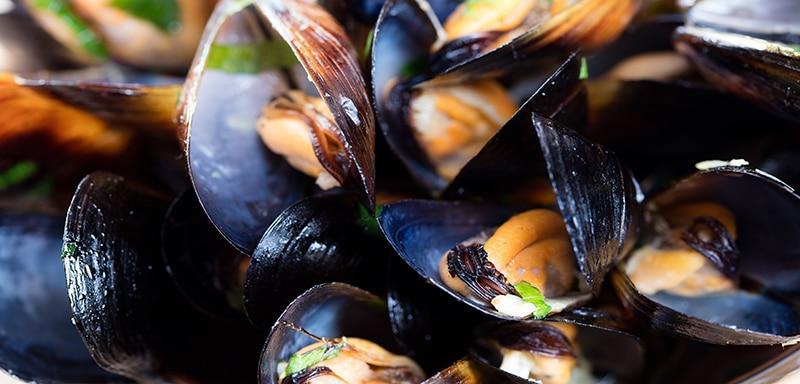 Mussels