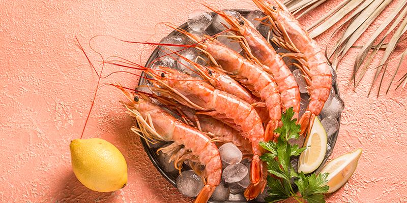 Fresh prawn shrimp on ice with lemon