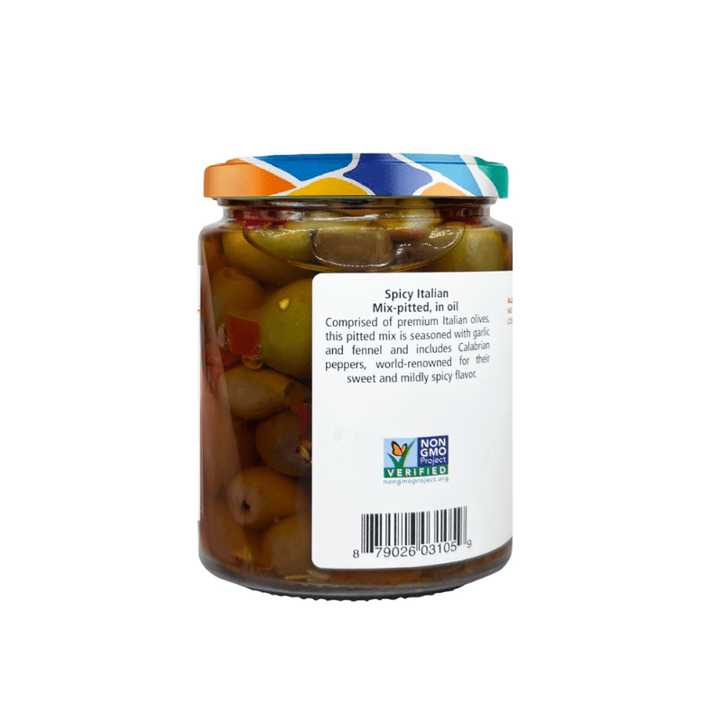 Bono Spicy Italian Pitted Mix in Olive Oil, 9.88 oz [Pack of 6]