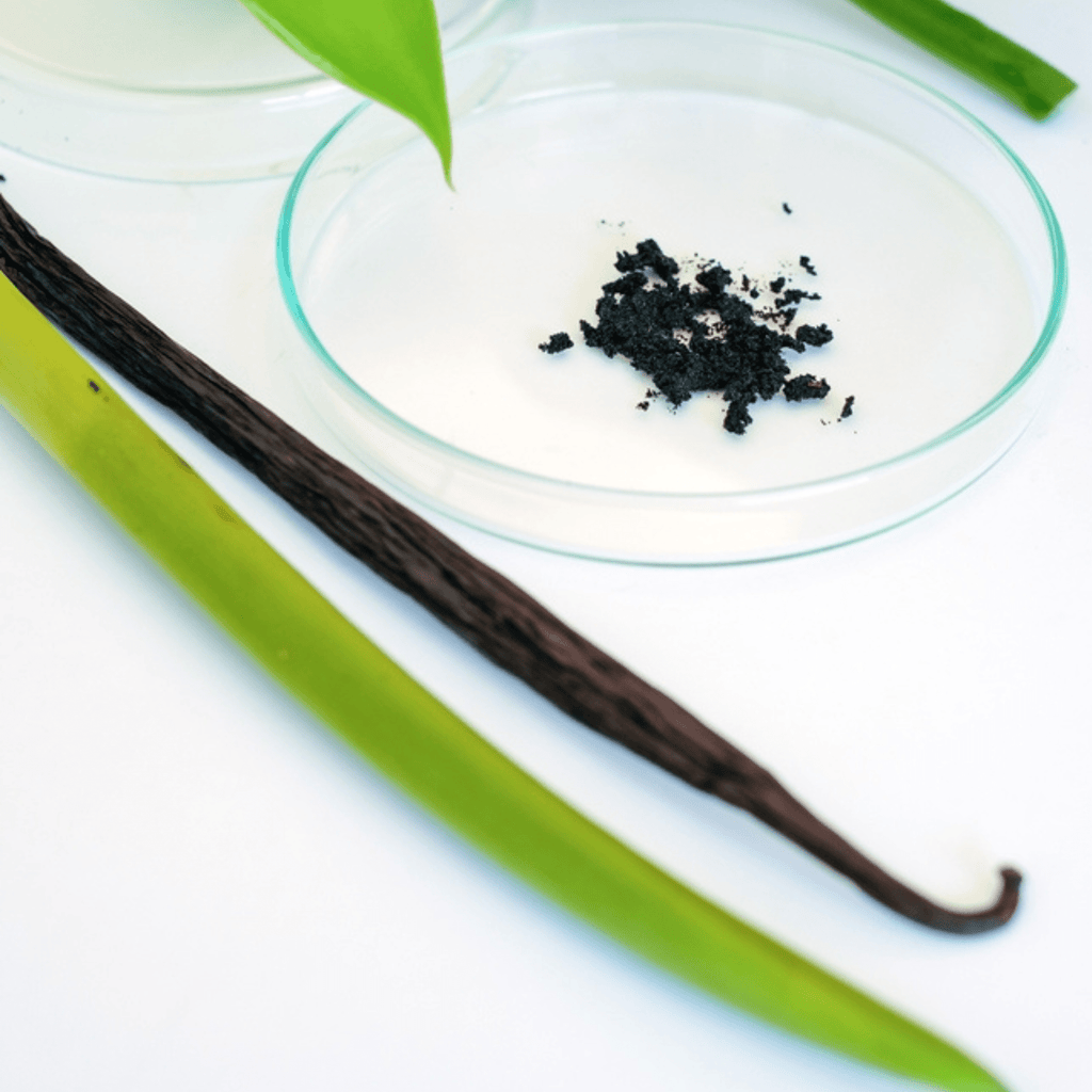 Sanniti Bourbon Vanilla Paste, 4 oz Pantry Sanniti 