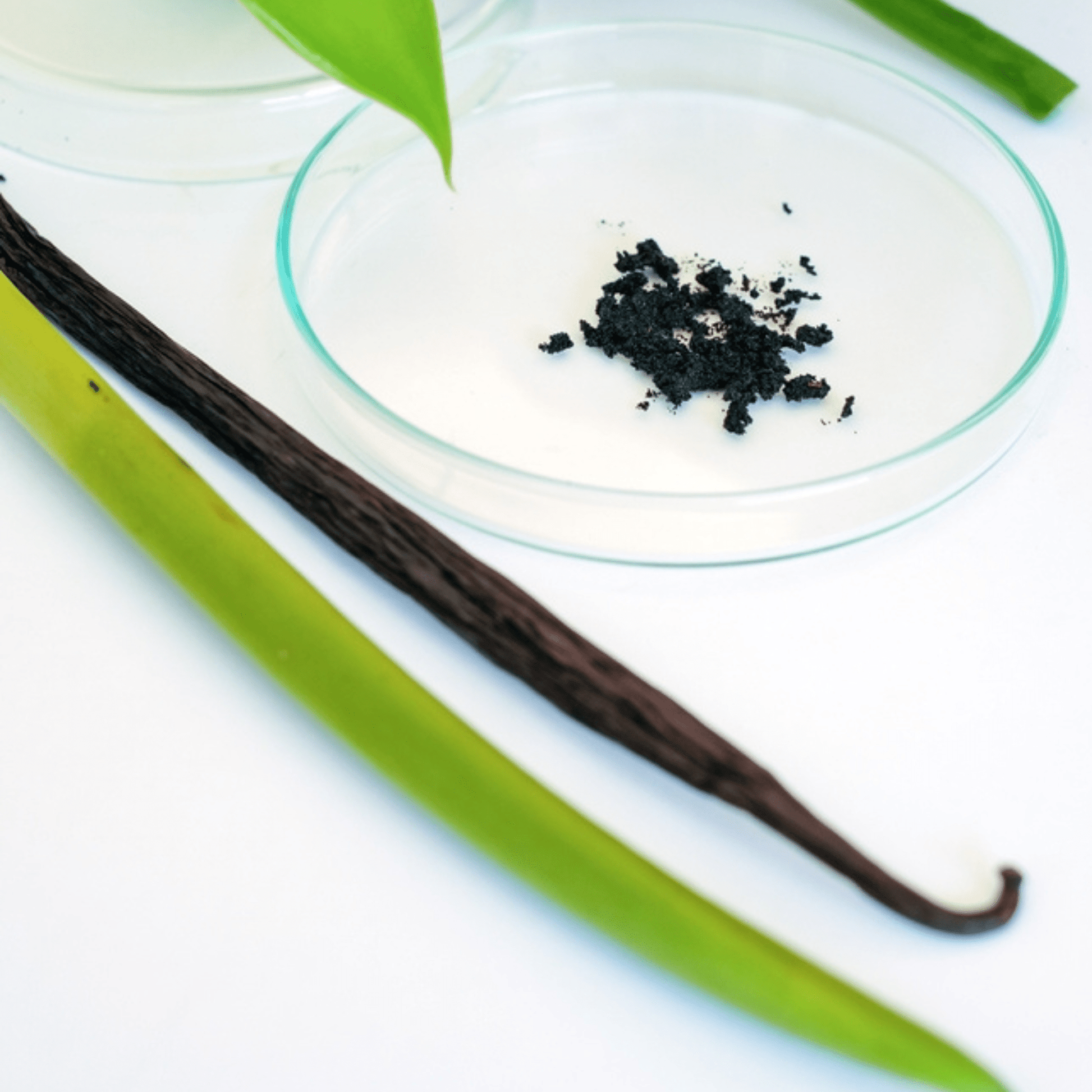 Sanniti Bourbon Vanilla Paste, 4 oz Pantry Sanniti 